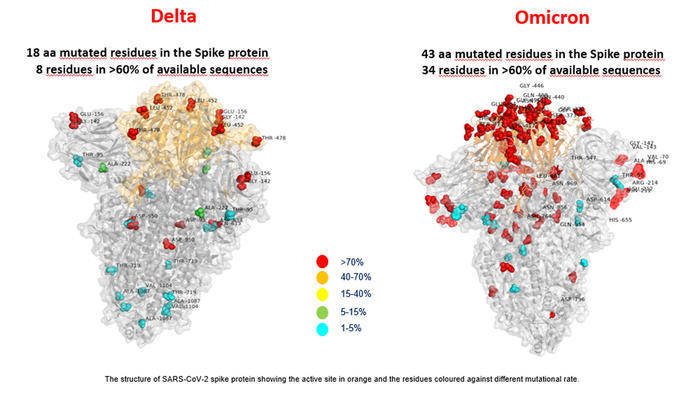 Omicron與Delta變異對比圖。（圖／UFFICIO STAMPA BAMBINO GESU'ANSA）